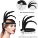 Molain 1920s Flapper Headband Halloween Party Feather Crystal Headband 20's Headpiece Accessories for Women Gatsby Costume Theme Party Cocktail Party Hair Accessories for Women Style B - Buy Online on GoSupps.com