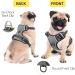 Buy Heele No-Pull Dog Harness & Crockery for Medium Dogs | Soft Reflective Padded Handle - International Shipping Available - Buy Online on GoSupps.com