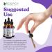 Nervestra Nerve Health Support Supplement - Fast-Absorbing Herbal Formula with Turmeric B-Vitamins & Alpha Lipoic Acid - Shop Internationally - Buy Online on GoSupps.com