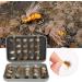 40-Piece Fly Fishing Fly Set - Dry Fly Bait & Accessories with Box for Trout Fishing - Buy Online on GoSupps.com