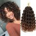 GoGo Curl Crochet Hair 8 Packs Water Wave Crochet Hair 10 Inch Curly Crochet Hair for Women Short Beach Curl Crochet Hair Synthetic Deep Twist Crochet Hair Extensions(T30) 10 Inch(pack of 8) T30