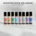 Tisserand Aromatherapy - The Little Box of De-Stress - Mind Clear Inner Harmony Total De-Stress - 100% Natural Pure Essential Oils - 3x10ml 10 ml (Pack of 3) De-Stress - Buy Online on GoSupps.com