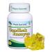 Planet Ayurveda Gandhak Rasayan Tablets - Single Bottle 1