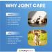 Buddy's Best Dog Joint Aid & Relief Plus 50ml - Fast Acting Formula for Joint Pain with Natural Ingredients - Made in UK - Buy Online on GoSupps.com