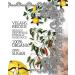Dr Trouble Double Oak Smoked Chilli Sauce MILD 125ml - African Hot Sauce Gift Box - Buy Online on GoSupps.com