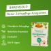 BIRKENGOLD Nature Disch Calition Chumpory - Peppermint Plastic-Free Sugar-Free 12x28g - Certified Natural Cosmetics - Buy Now! - Buy Online on GoSupps.com