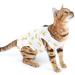 Selmai Medical Pet Shirt for Dogs & Cats - Soft Cotton E-Collar Alternative Wound Protection & Nursing Clothing for Post-Op Care - Yellow Banana Design - Buy Online on GoSupps.com