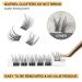 Buy Naturally D Curl 14mm Eyelash Clusters - Individual Segments for DIY Extensions | Single Quewel Lashes - Buy Online on GoSupps.com