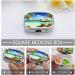 Pill Box Tropical Holidays Print | 2 Compartment Medicine Organizer | Decorative Metal Portable Pill Case for Pocket & Purse - Buy Online on GoSupps.com