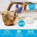 Interactive Cat Toy - All For Paws Flutter Bug Wand with Motion-Activated Butter-fly - Buy Online on GoSupps.com