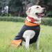 Pet Large Dogs Raincoat | Waterproof Jacket for Dogs | Adjustable Lightweight Vest | XXL Size 2XL 76-85lbs | Orange - Buy Online on GoSupps.com