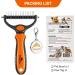 Peteola 2-Sided Undercoat Rake for Cats & Dogs - Shedding Tool for Safe Grooming - Orange - Buy Online on GoSupps.com