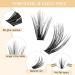 Riya Lash Clusters DIY Eyelash Extensions | 240 Clusters, 30D Curl, Wispy Volume | Individual Eyelash Extensions for At-Home Use - Buy Online on GoSupps.com