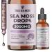 Irish Sea Moss Liquid Drops - with Black Elderberry, Burdock Root & Black Cumin - Liquid Supplement - Elderberry Flavor - 2 Fl Oz (60ml)