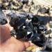 Natural Crystal Rough 100g-500g Natural Black Crystal Quartz Cluster Reiki lemurian Seed Prism Charms Stones and Minerals for Home Decoration (Color : About 400g) - Buy Online on GoSupps.com
