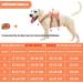 Belpro Multi-Purpose Dog Harness | No Pull Reflective & Adjustable Vest | Durable Handle & Dog Dishes for Large Dogs | XL Orange - Buy Online on GoSupps.com