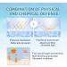 Birch Juice Moisturizing Sun Cream No White Cast Strong UV Protection Korean Sunscreen SPF50 SPF50+ PA++++ - Buy Online on GoSupps.com