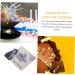 TOPBATHY Appetizer Picks 2pcs Graduation Card Acrylic Fruit Paper Cup Grad Cap - Buy Online on GoSupps.com
