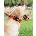 Joytale Tactical Dog Collar XL - Durable Handle QR Code Tag for Large Dogs - Orange Design - Buy Online on GoSupps.com