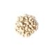 Organic Raw Cashews 2 Pounds - Non-GMO Whole Large Premium Fancy Nuts | Kosher Vegan Bulk Low Sodium | High Protein & Nutrient Rich | 2 lb Pack - Buy Online on GoSupps.com