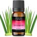 Lemongrass Essential Oil - Pure & Natural (10ml) 100 ml (Pack of 1)