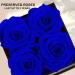 UFOREVER ROSES Preserved Roses in Box - Royal Blue, Lasts a Year - Perfect Gift for Her on Mother's Day, Valentine's Day, Christmas, Birthday, Anniversary - Buy Online on GoSupps.com