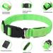 Jostift Luminous Elbe Rechargeable LED Dog Collar - Waterproof & Adjustable for Small/Medium Dogs - Super Bright with 3 Lighting Modes (Green) - Buy Online on GoSupps.com