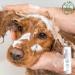 Ultra Gentle Sensitive Skin Conditioning Shampoo Wash for Pets Odour Remover Moisturising Skin Repair. Cat Shampoo Rabbit Shampoo Dog Shampoo Hamster Shampoo- 60ml - Buy Online on GoSupps.com
