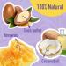 24 Pack Natural Lip Balm - Bulk Moisturizing Lip Care for Dry, Cracked Lips - Buy Online on GoSupps.com