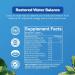 Water Away Diuretic Pills - Natural Water Retention Relief with Dandelion, Green Tea & Juniper - Kidney Cleanse & Water Balance Support with Vitamin B6 - Buy Online on GoSupps.com