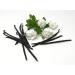 Premium Mexican Vanilla Beans - Superior Grade | 25.0 Grams - Buy Online on GoSupps.com