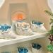 Seashell Scented Candle | Beach-Themed Coastal Aromas | Ocean Breeze Candle | Perfect Home Decor Gift - Buy Online on GoSupps.com