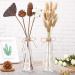 Zerodeko Color Dried Wheat Bouquets 30 Pcs Home Decor Natural Dried Flowers Wheat Artificial Flower Wheat Sheaf Bundle As Shownx2pcs mediumx2pcs - Buy Online on GoSupps.com
