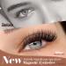 Russian Strip Lashes False Eyelashes 16mm D Curly Cat Eye Natural False Lashes Fluffy Wispy Russian Lashes Strip Lashes 5 Pairs Soft Eye Lash Reusable Fake Eyelashes - Buy Online on GoSupps.com