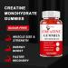 Buy Sugar Free Creatine Monohydrate Gummies (2 Pack) - 5g Chewable Creatine for Muscle Building Focus & Endurance - 60 Count 4X Stronger Than Powder for Men & Women - Buy Online on GoSupps.com