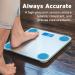 Etekcity Bathroom Body Weight Scale Round Corner Platform Digital Scale Large Backlit Display and High Precision Measurements(Digital Scale New) 400 lb/180 kg Silver - Buy Online on GoSupps.com