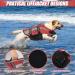 Emust Dog Swimming Vest - Reflective Rescue Vest for Small Dogs | Lifesaver for Swimming Boating & Water | Small Dog Vest in Red - Buy Online on GoSupps.com