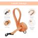 Buy Bella & Pal Dog Harness for Small Dogs - Reflective Breathable Air Mesh with Leash Perfect for Puppies & Cats - XS Fit (30-35cm) - Peach Color - Buy Online on GoSupps.com
