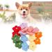 Tnfeeon Small Dog Hair Bows with Elastic Rubber Bands Handmade Colorful Pet Bow 16pcs Pet Hair Bows Cute Vintage Wool Knitting Dog Hair Flower Bows with Rubber Bands for Small Medium - Buy Online on GoSupps.com