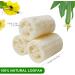 Buy 6 Pack Natural Luffa Sponge - 10cm Exfoliating Cucumbers for Skin Care Bath & Shower Peeling - Eco-Friendly Body & Kitchen Sponge - Buy Online on GoSupps.com