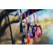 IDC Color & Gray Caught Leash - Durable 20mm x 2m with Loop & D-Ring for Dogs | International Shipping - Buy Online on GoSupps.com
