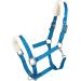 RL24 Halter with Plush Padding - BASICLINE in 6 Colors for Shetty Pony Thoroughbred Warmblood | Turquoise Shetty - Buy Online on GoSupps.com