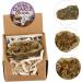 Luxshiny Crystal Geode Cornucopia Ore Agate Geode Golden Agate Ore Aura Ore Stones Treasure Agate Stone Natural Stones Collection Stones Agate Mineral Plating Agate Specimen Stones Golden 5X4CM - Buy Online on GoSupps.com
