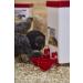 1 Gallon Capacity Small Cage Waterer for Chicks, Quails, Pigeons & Gamebirds - Buy Online on GoSupps.com
