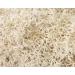 SuperMoss Reindeer Moss Preserved White 3lbs Box - Natural Decorative Moss - Buy Online on GoSupps.com