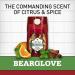 Old Spice Wild Collection Bearglove Men's Body Wash 16 Fl Oz - Pack of 4 - Buy Online on GoSupps.com