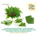 Herbal Neem Tulsi Aloe Vera Bathing Bar - Paraben/Sulfate/Dye/Silicon Free - Natural Face & Body Care Soap (Pack of 6) - International Shipping - Buy Online on GoSupps.com
