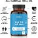 Antarctic Krill Oil 1000mg 2 Pack - Omega 3 6 9 with Astaxanthin - EPA DHA - Pure & Mercury Free - Non GMO - Gluten Free - by New Age - Buy Online on GoSupps.com
