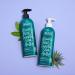 Not Your Mother's Naturals Aquatic Mint Shampoo & Conditioner Set - 16 Oz + Woody Mint 15.2 Fl Oz (Pack of 2) - Buy Online on GoSupps.com