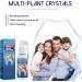 Instant Toothache Relief Spray for Fresh Breath and Oral Health - Buy Online on GoSupps.com